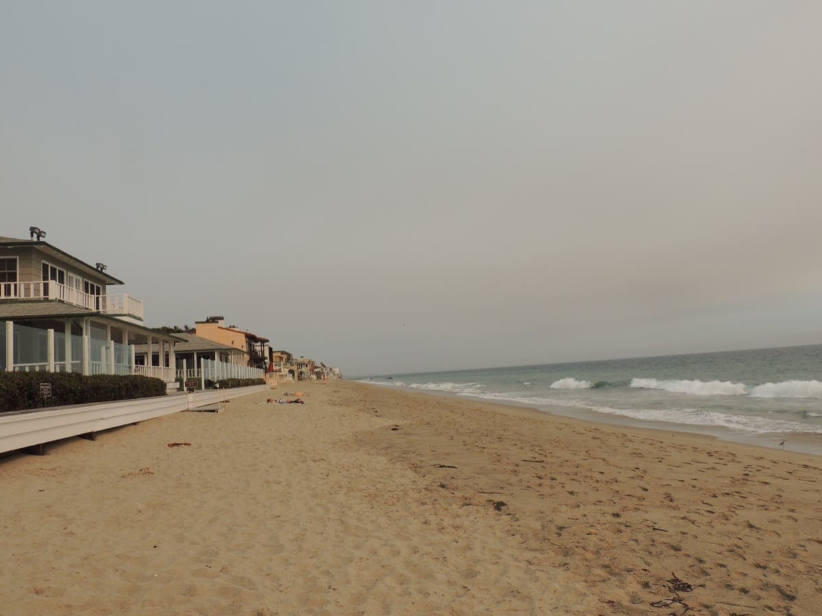 The City of Malibu released their quarterly recreation guide for winter 2022 and it includes tons of great activities for kids, seniors and even dogs. 