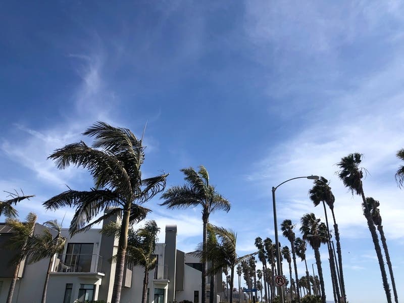 Beverly Hills will see big wind gusts Monday, according to the National Weather Service. 
