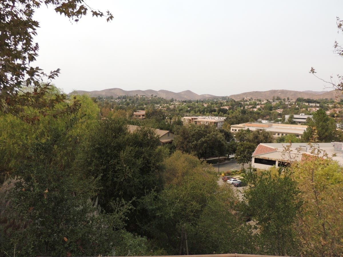 Gov. Gavin Newsom allocated $10 million in his California 2022-2023 budget for the Wallis Annenberg Wildlife Crossing. 