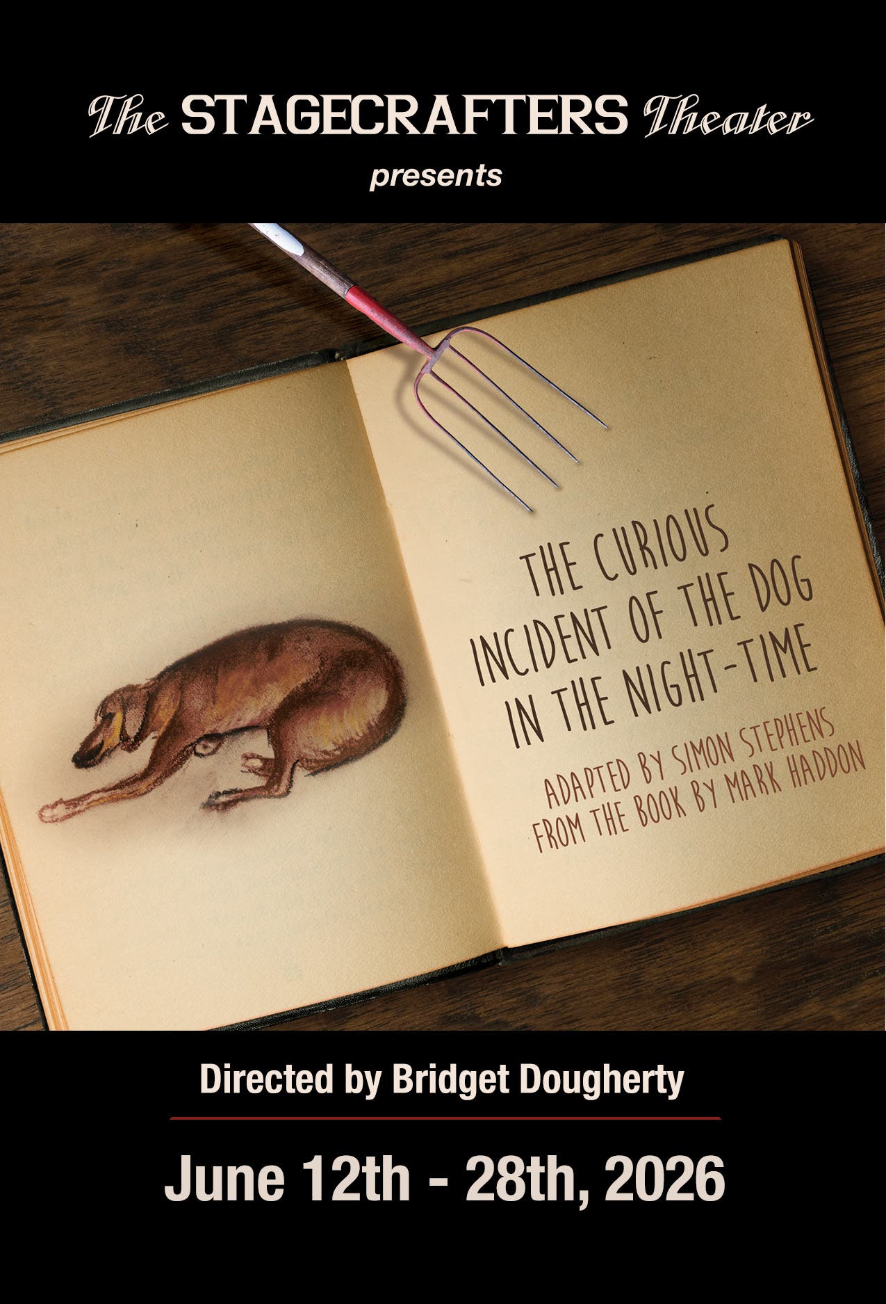 The Curious Incident of the Dog in the Night-Time - Award-Winning Drama