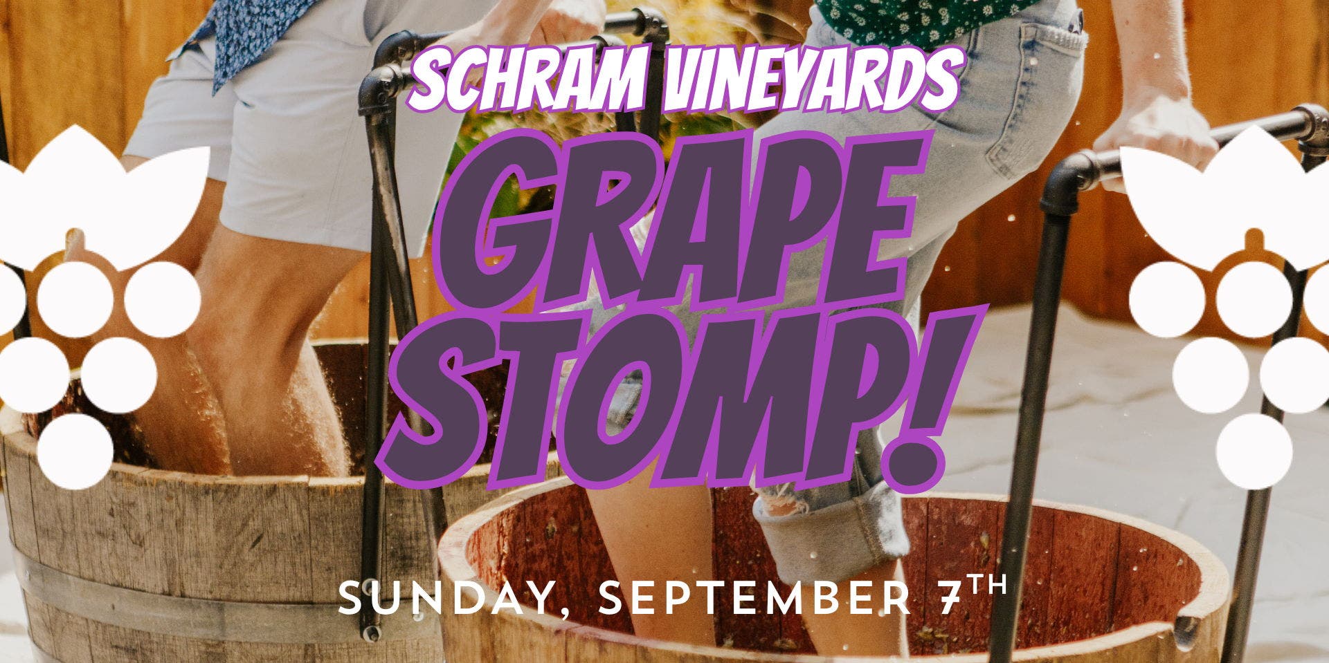 Grape Stomp at Schram Vineyards
