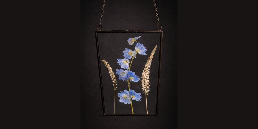 Art in Bloom: Framed Everlasting Florals