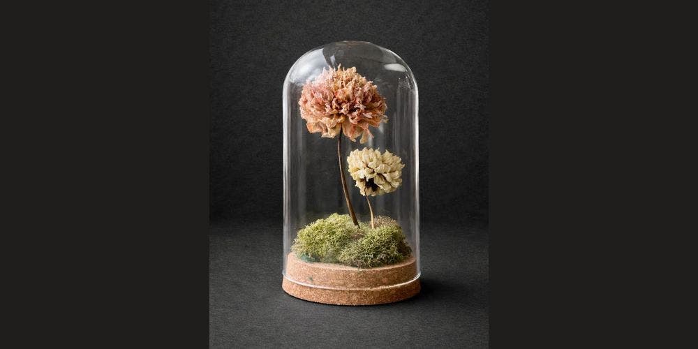 Art in Bloom: Everlasting Botanical Cloche