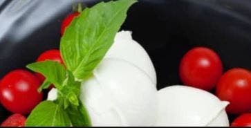 Make Your Own Mozzarella! From Curd to Caprese - Minneapolis 