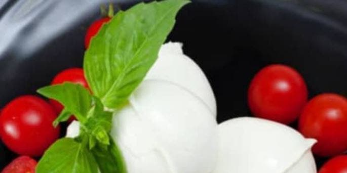 Make Your Own Mozzarella! From Curd to Caprese - Minneapolis