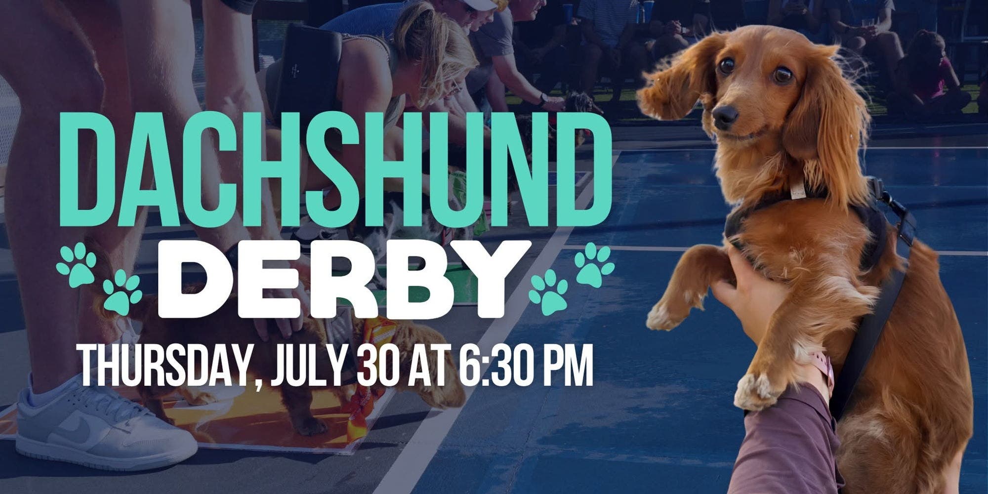 Dachshund Derby