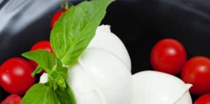 Make Your Own Mozzarella! From Curd to Caprese - Minneapolis