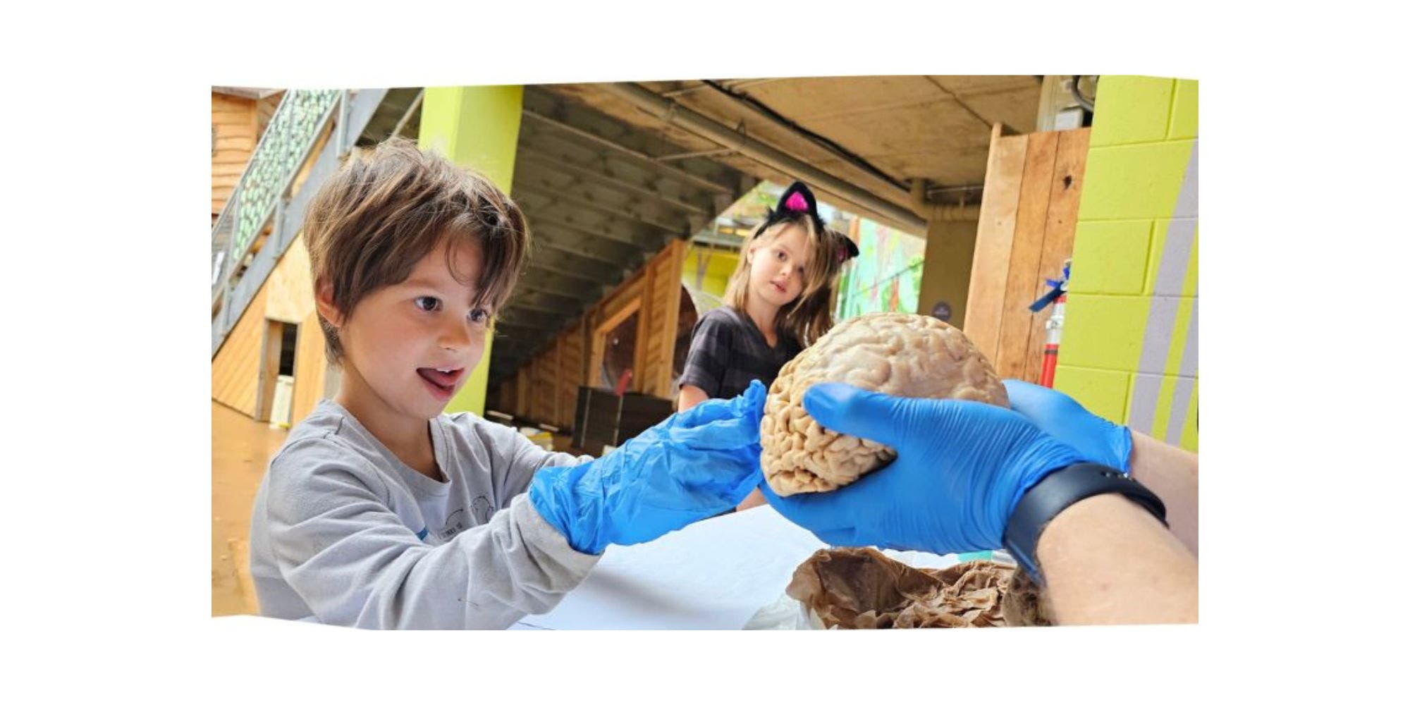 Science on the Square at Madison Children's Museum