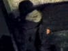 Anyone with information involving the thieves and the crime was asked to contact the Dearborn Police Department’s Detective Marc DeMelis at 313-943-2292 or at mdemelis@dearborn.gov.