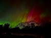 The sky in upper Lower Michigan and the Upper Peninsula​ danced in waves of green, purple and red​ lights, with some stargazers saying it was the best they've ever seen.
