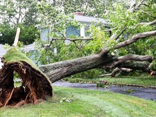 Police said the mother was lying in bed with her 2-year-old son inside a home in the area of Schoolcraft Road and Interstate 275​ at 3:37 p.m. when a tornado uprooted the massive tree.