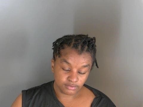 Macomb County Woman Charged With Attempted Murder In House Fire | St ...