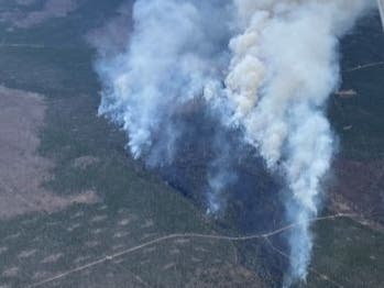 Firefighters are battling a wildfire in northern Michigan, according to the Michigan Department of Natural Resources.