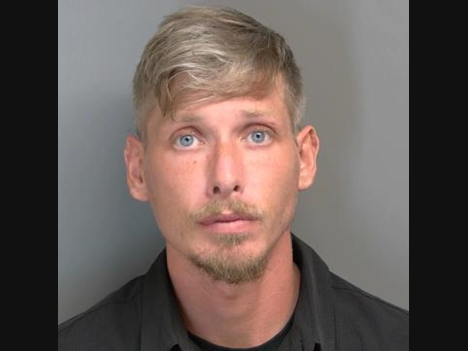 Austin Thorpe, 31, of Lapeer, is facing multiple charges in connection with the crash.