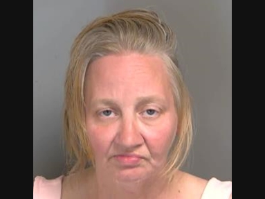 Jennifer Roe, 47, of Clinton Township, was charged with one count of third-degree fleeing a police officer, one count of receiving or concealing stolen property and one count of reckless driving.