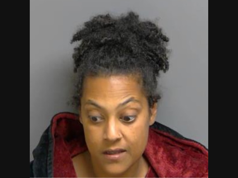 Kasheia Eitia Lewis-Strauss, 38, was charged with﻿ assault with a dangerous weapon (felonious assault) and third-degree arson.