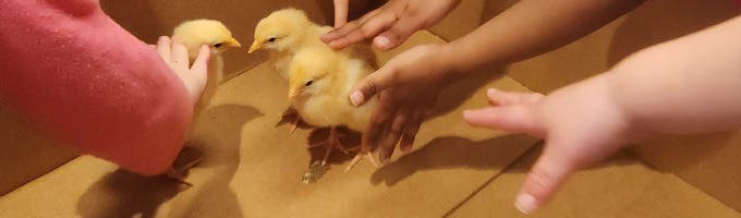 Honey Tree Preschool and Childcare