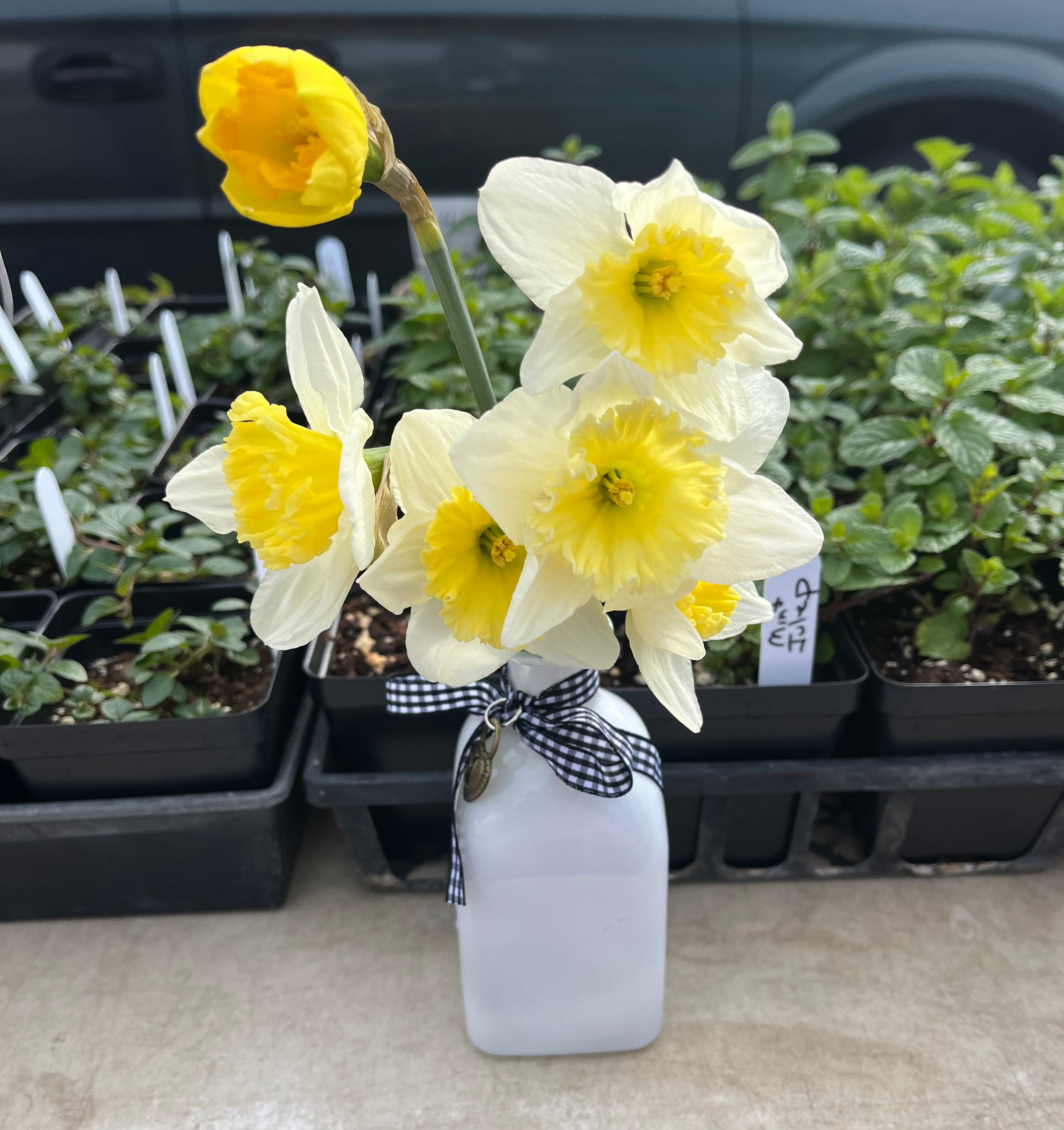 Catonsville Wednesday Farmers Market