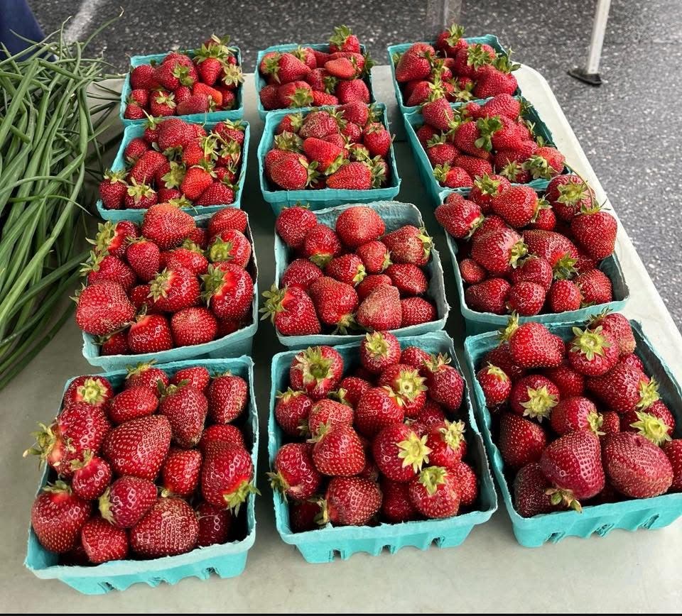 Catonsville Wednesday Farmers Market