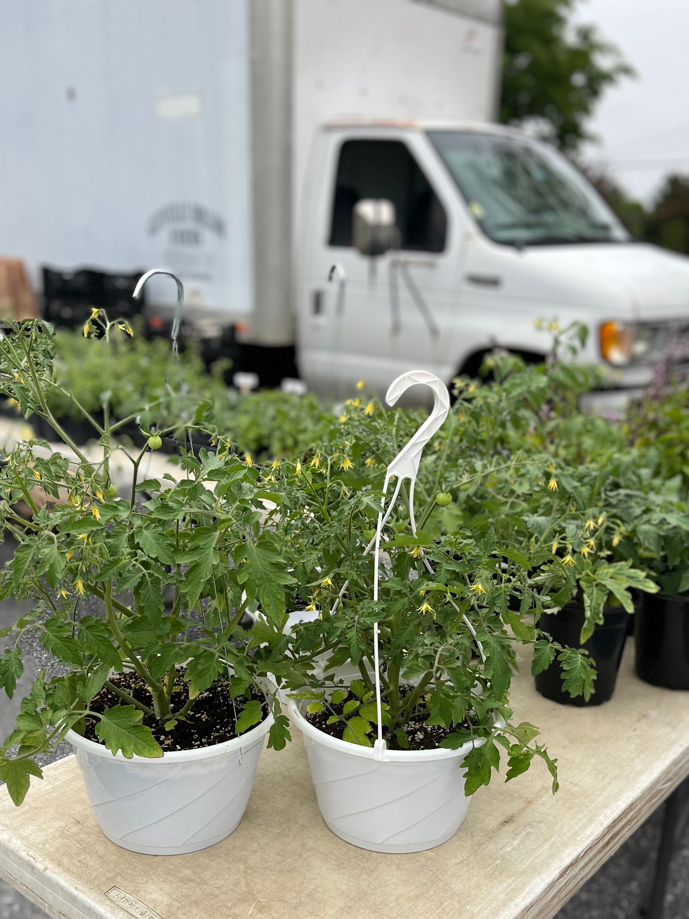 Catonsville Wednesday Farmers Market