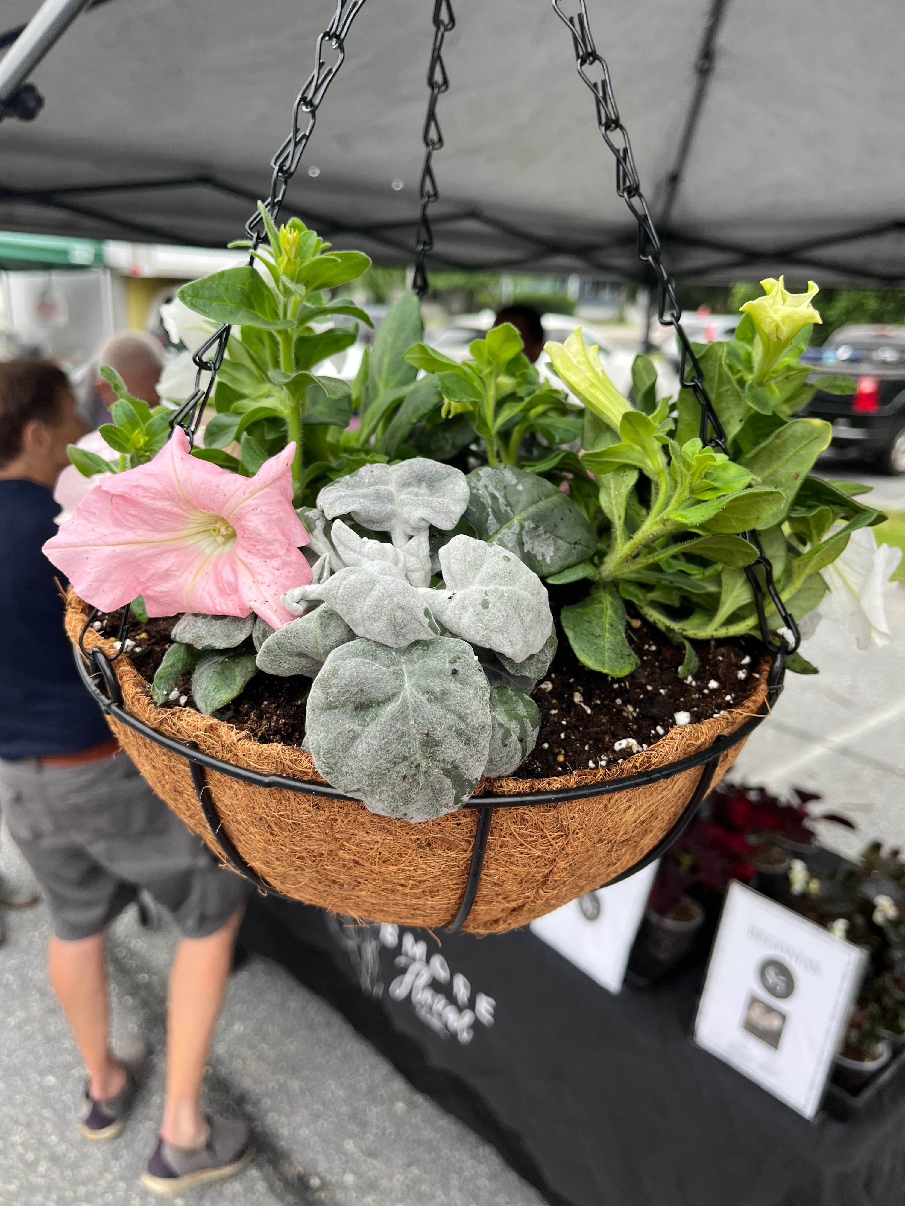 Catonsville Wednesday Farmers Market