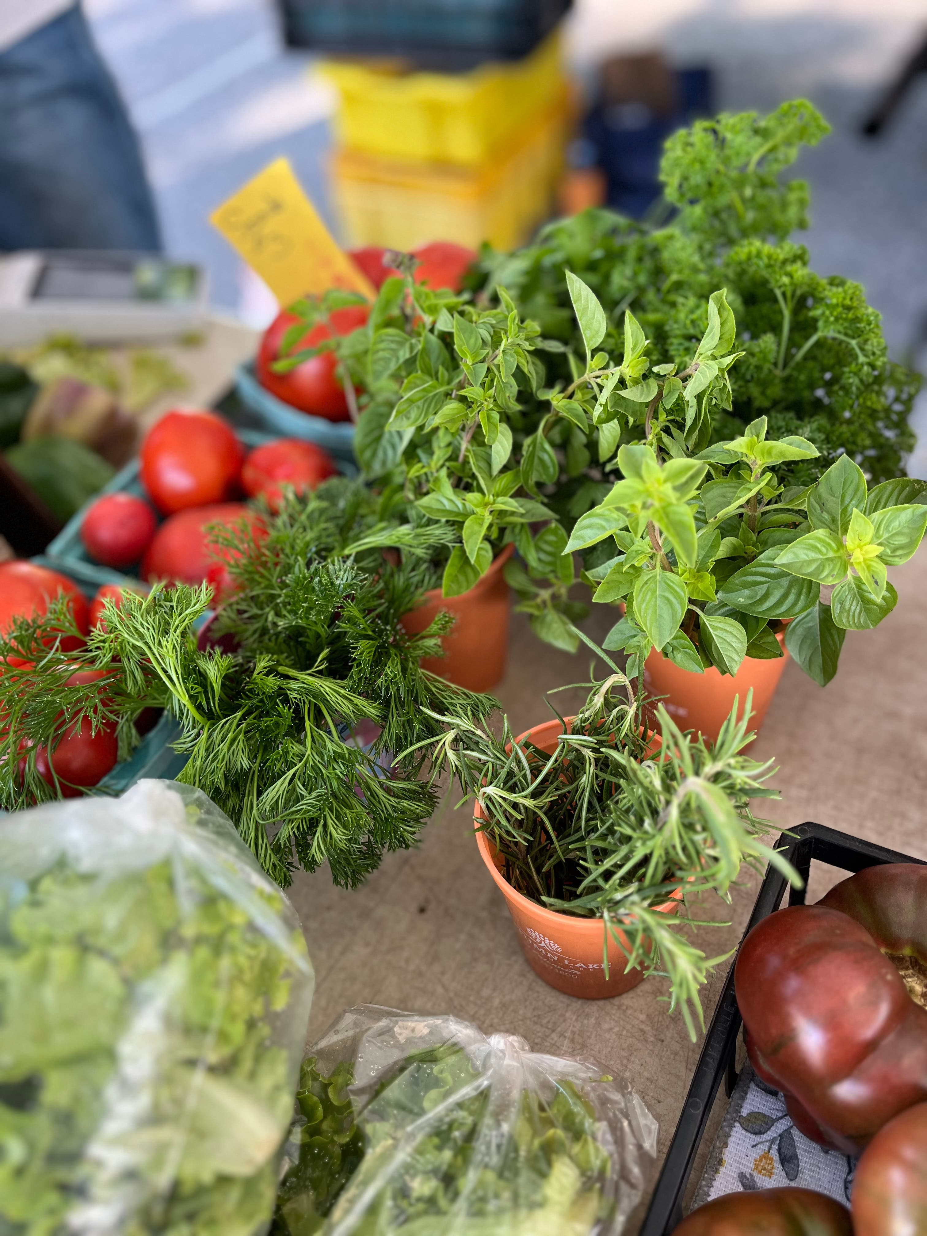 Catonsville Wednesday Farmers Market 