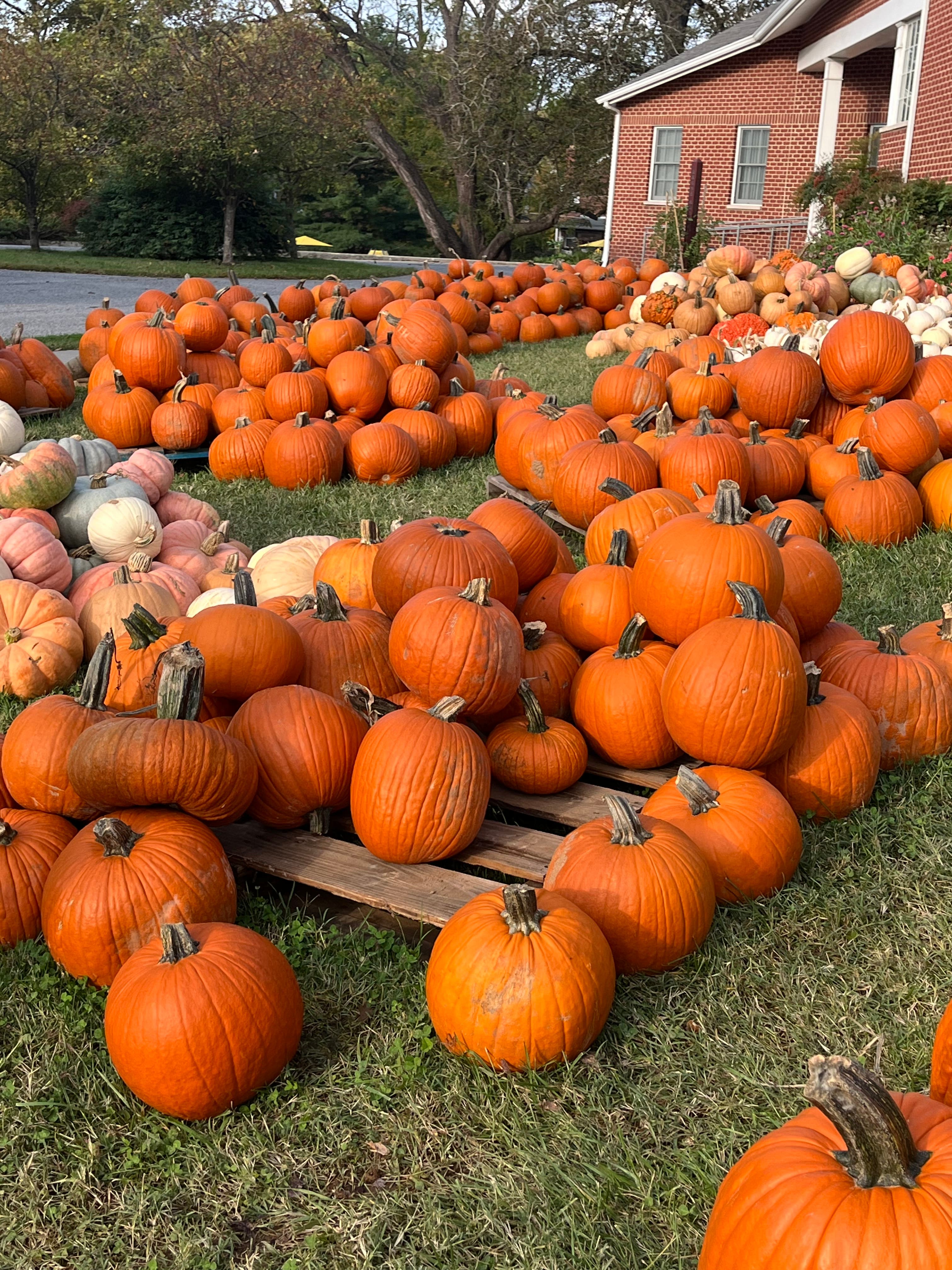 Catonsville Wednesday Farmers Market 