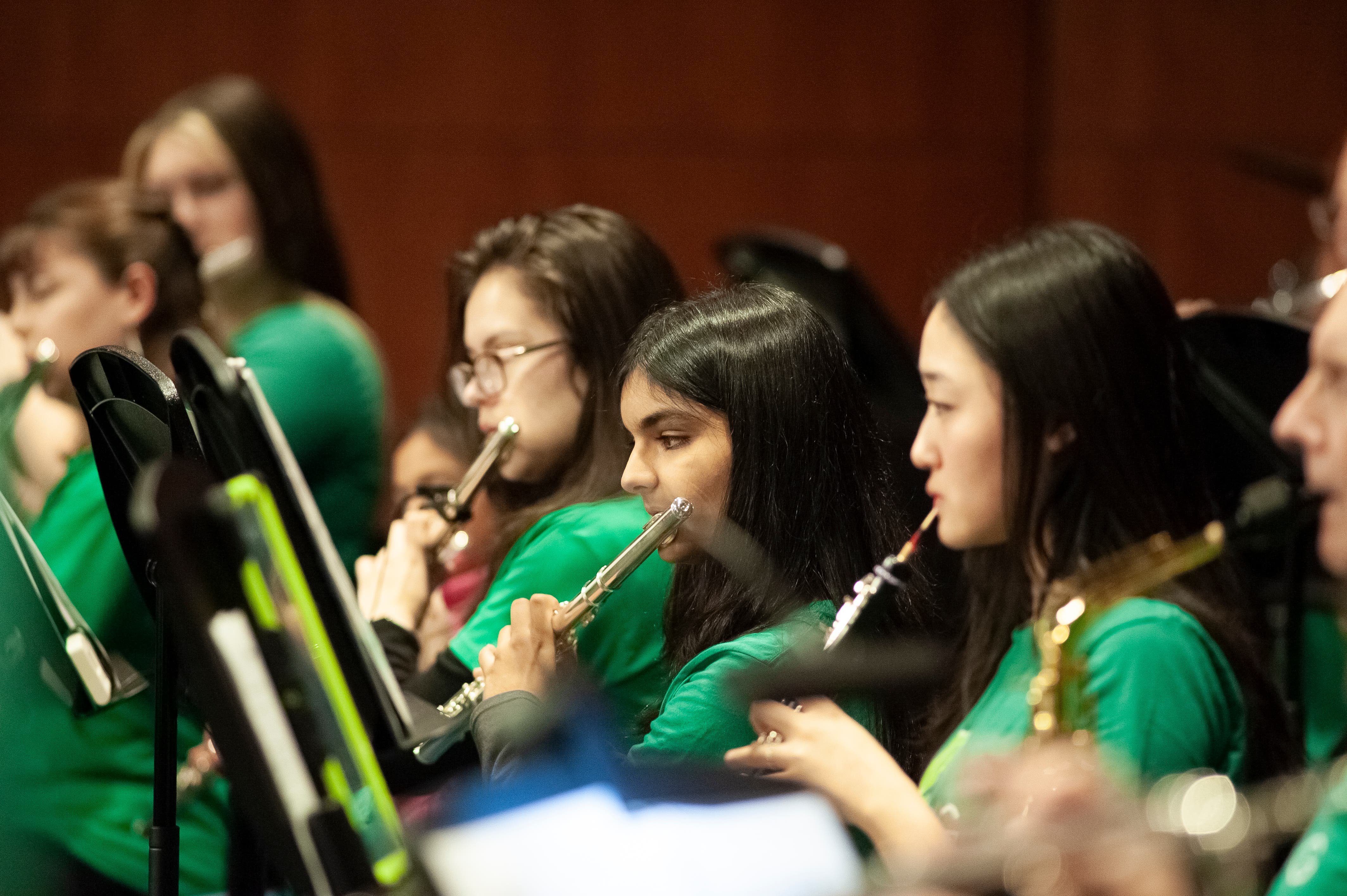 Join the Symphony Orchestra of North Georgia!