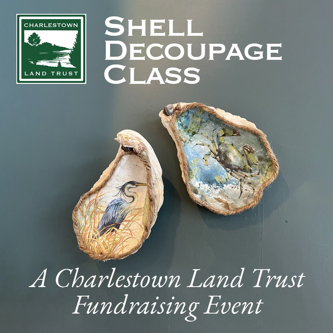Shell Decoupage Class