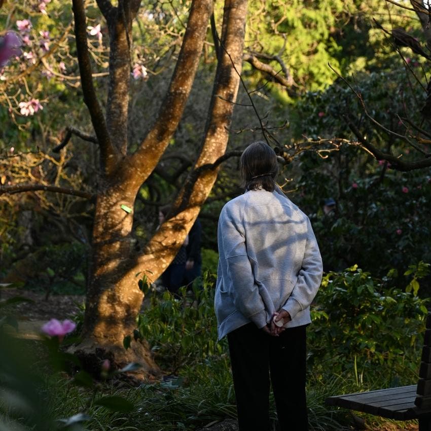 September Forest Bathing