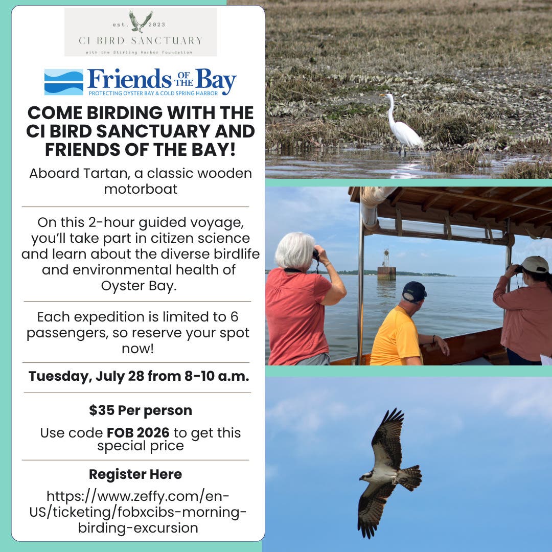 Morning Birdwatching Cruise with Centre Island Bird Sanctuary and Friends of the Bay