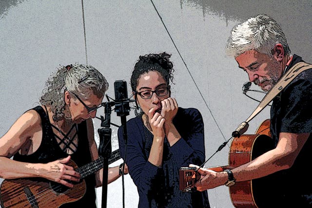 The Homegrown String Band Live: A Journey Through Early American Music