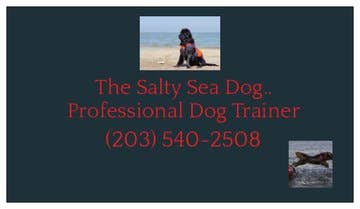 The Salty Sea Dog... Dog Training
