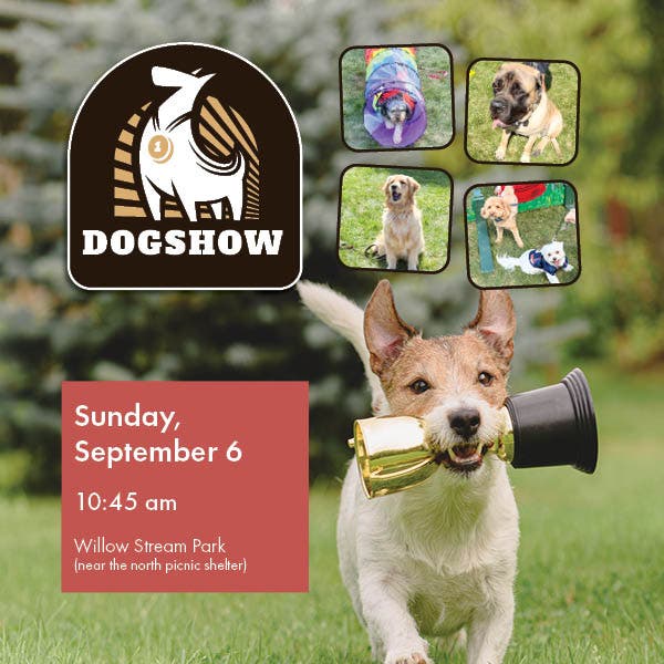 Dog Show