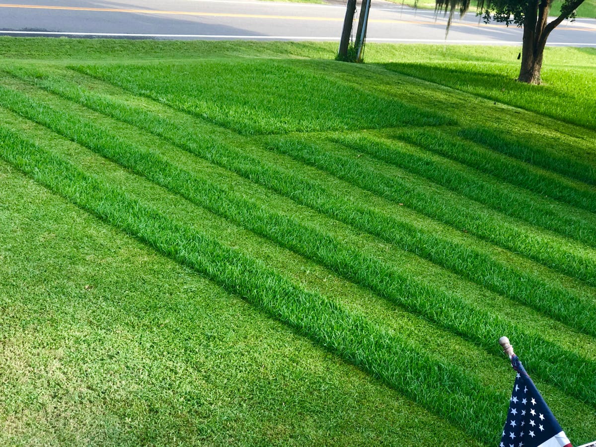 Superior lawn & yard LLC