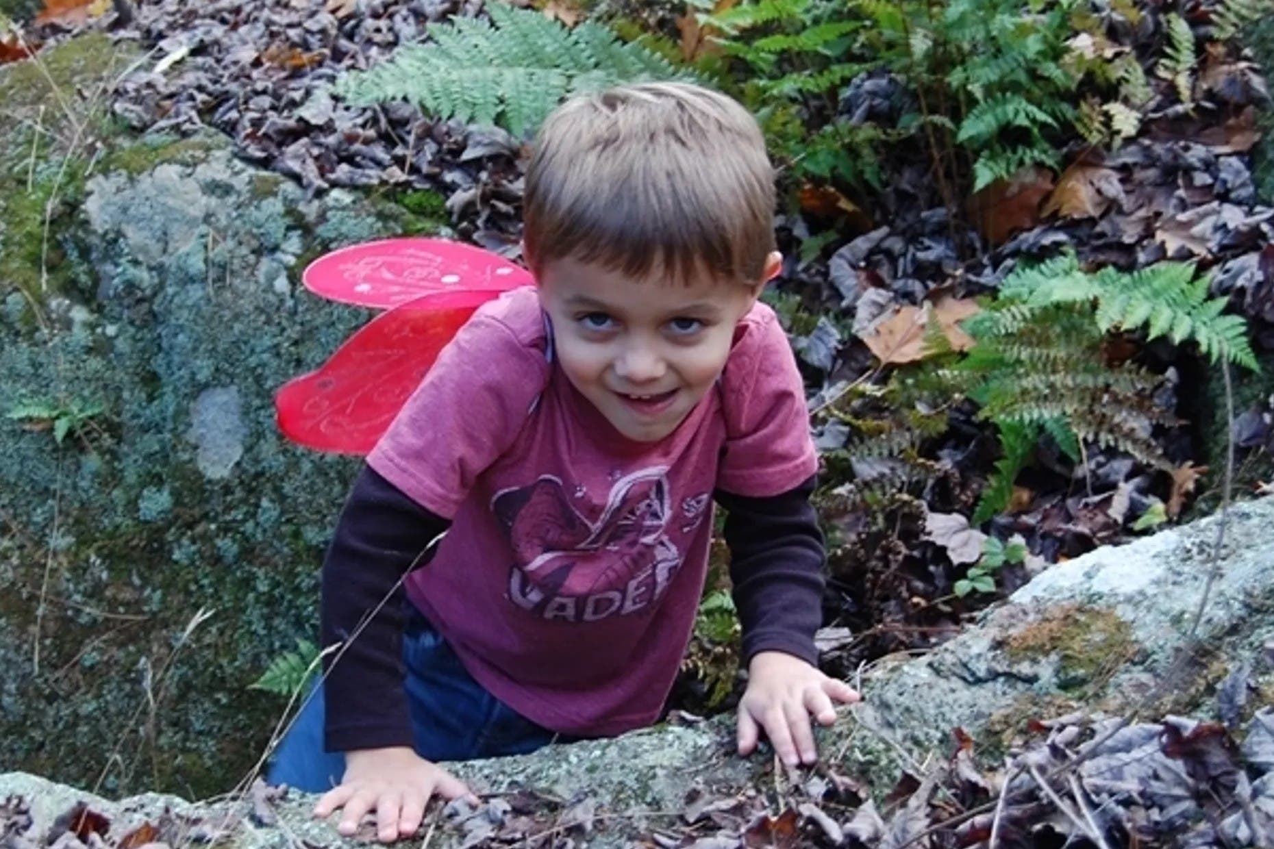 "Spread Your Wings" at Petals in the Pines