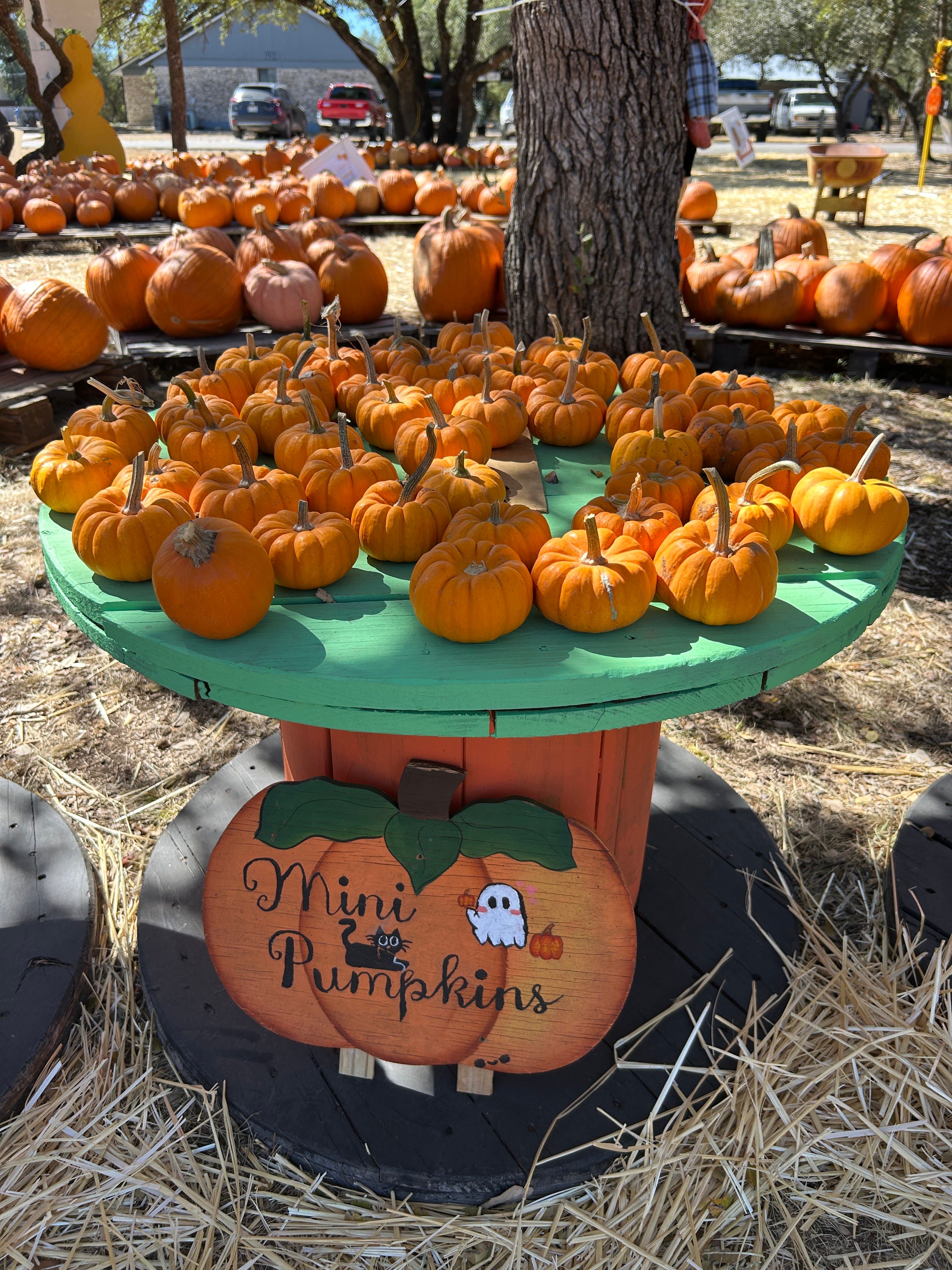 10th Annual Rockbridge Church Pumpkin Patch
