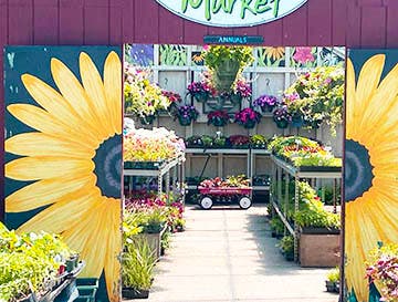  Paula Constance Copyright 2022