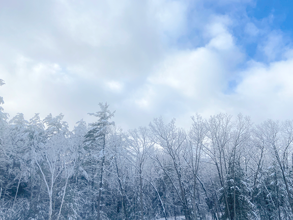 Winter Wonderland, Photo taken at the Everett Turnpike in Bedford. - Paula Constance.