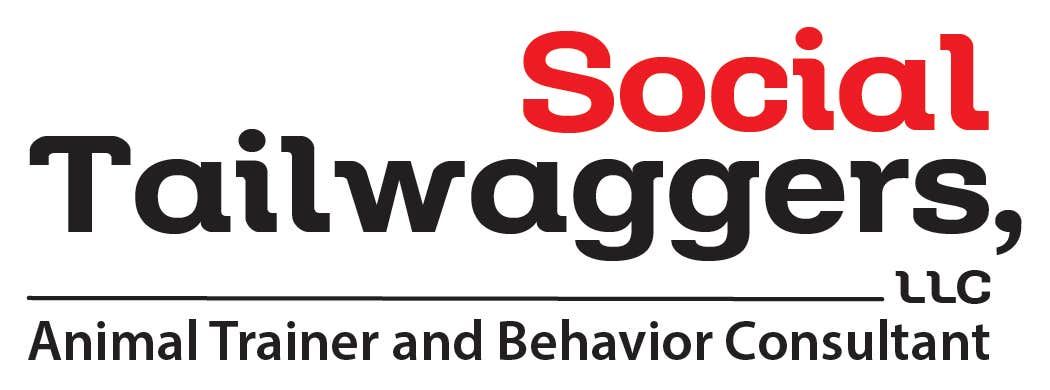 Social Tailwaggers Dog Training