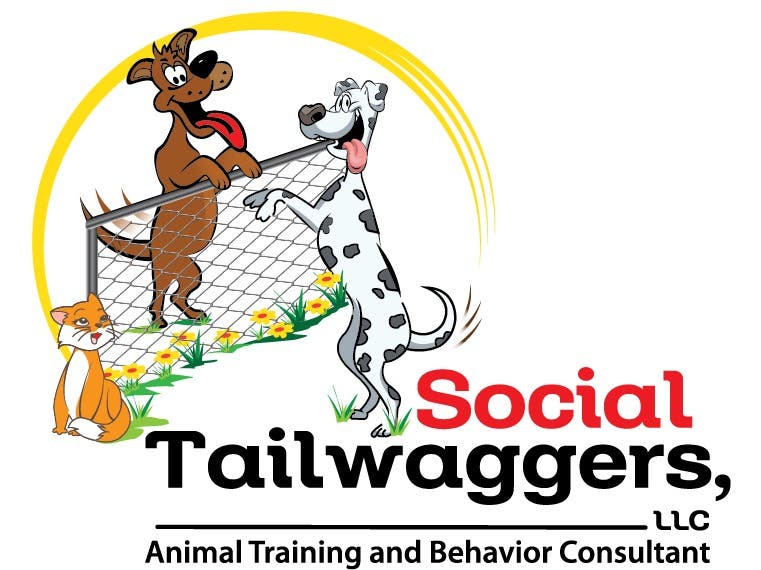 Social Tailwaggers Dog Training & Behavior Modification - Classes & Private