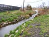 The wetland area before the  Dzus Superfund Cleanup. (New York State Department of Environmental Conservation)