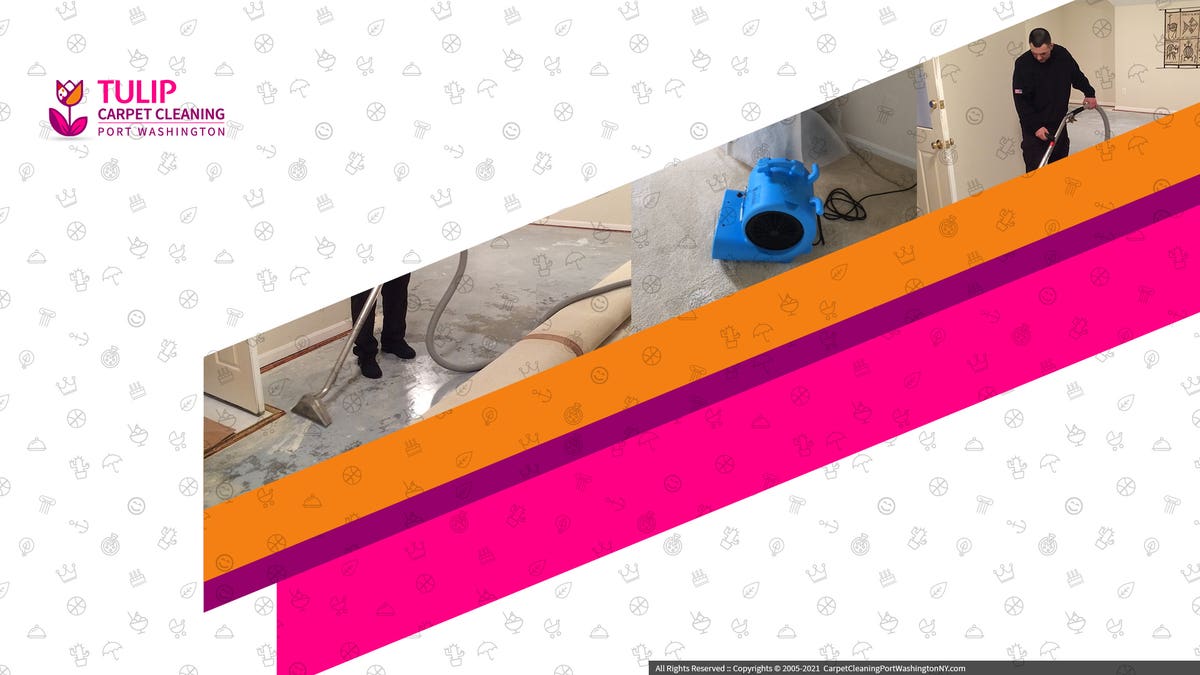 Tulip Carpet Cleaning Port Washington