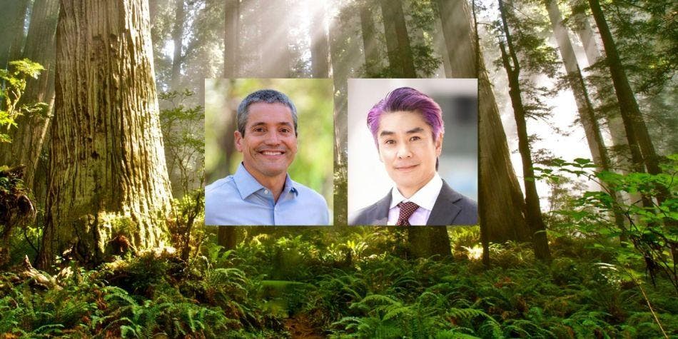 Presentation: Nature-Based Solutions in the Fight Against Climate Change