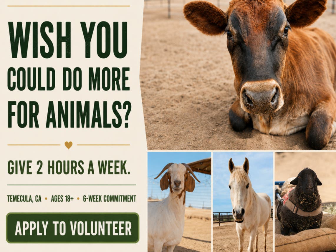 Volunteers Needed 