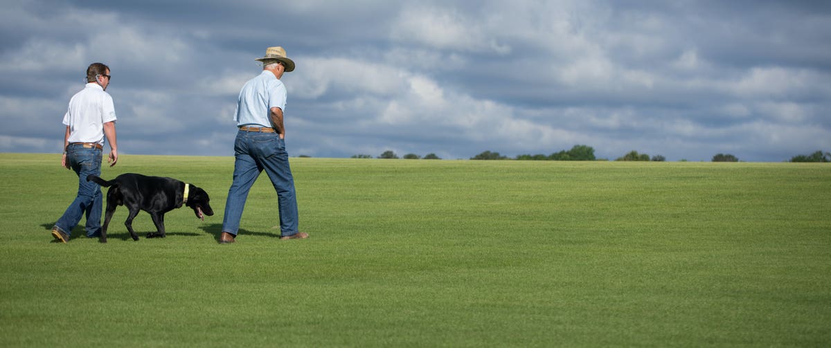 NG Turf Sod Farms