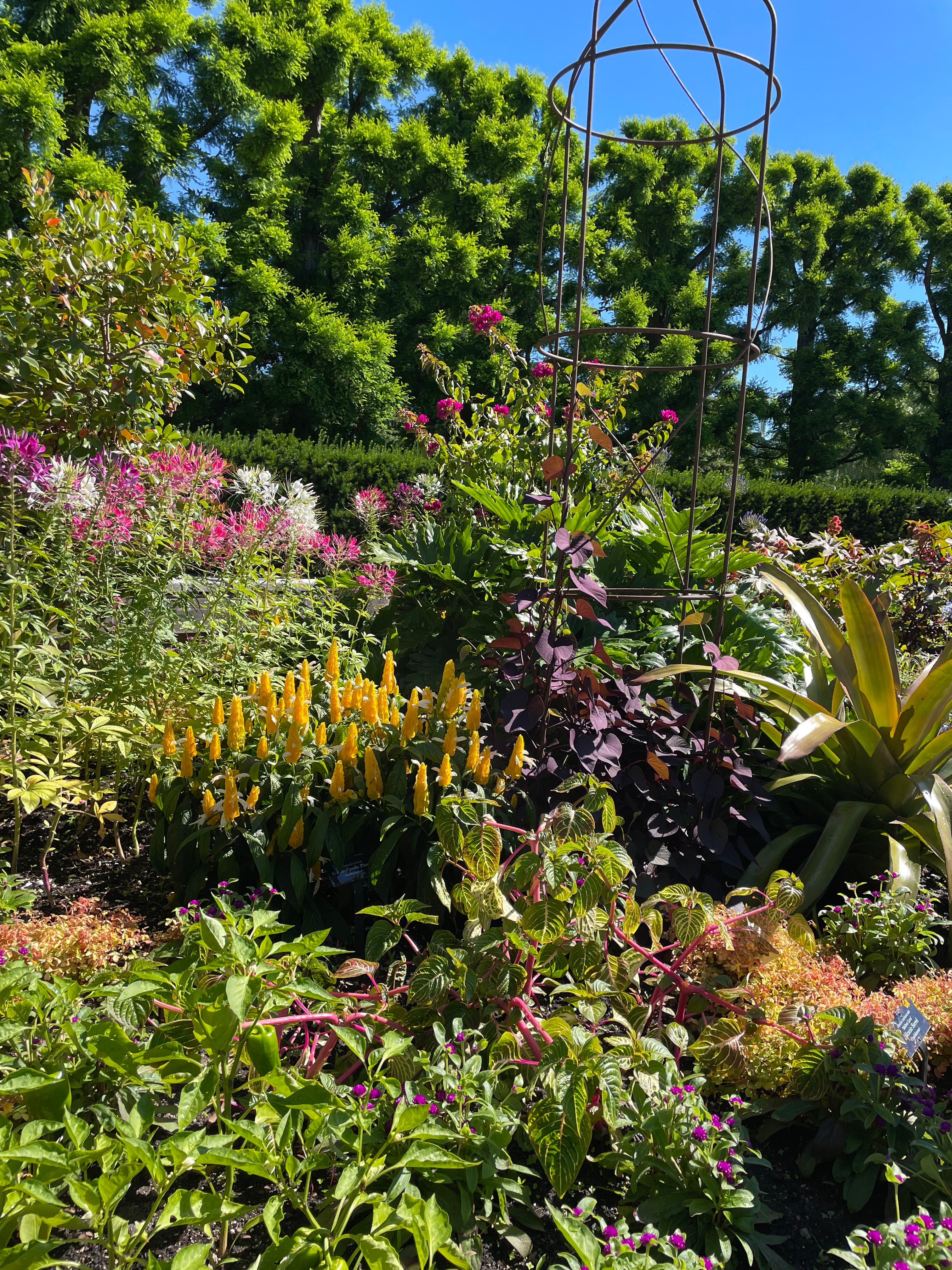 The planting season has arrived!
