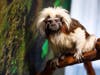 Wilstem Wildlife Park