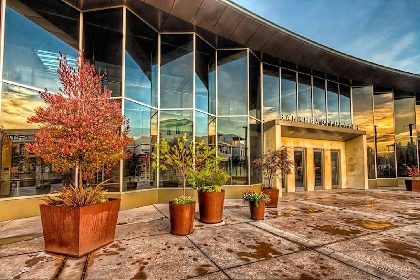 Syndicate Wines Pop-up at the Bankhead Theatre