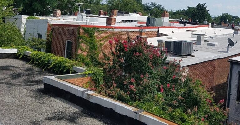 Flat Roof Systems in Washington, DC | Infinity Design Solutions